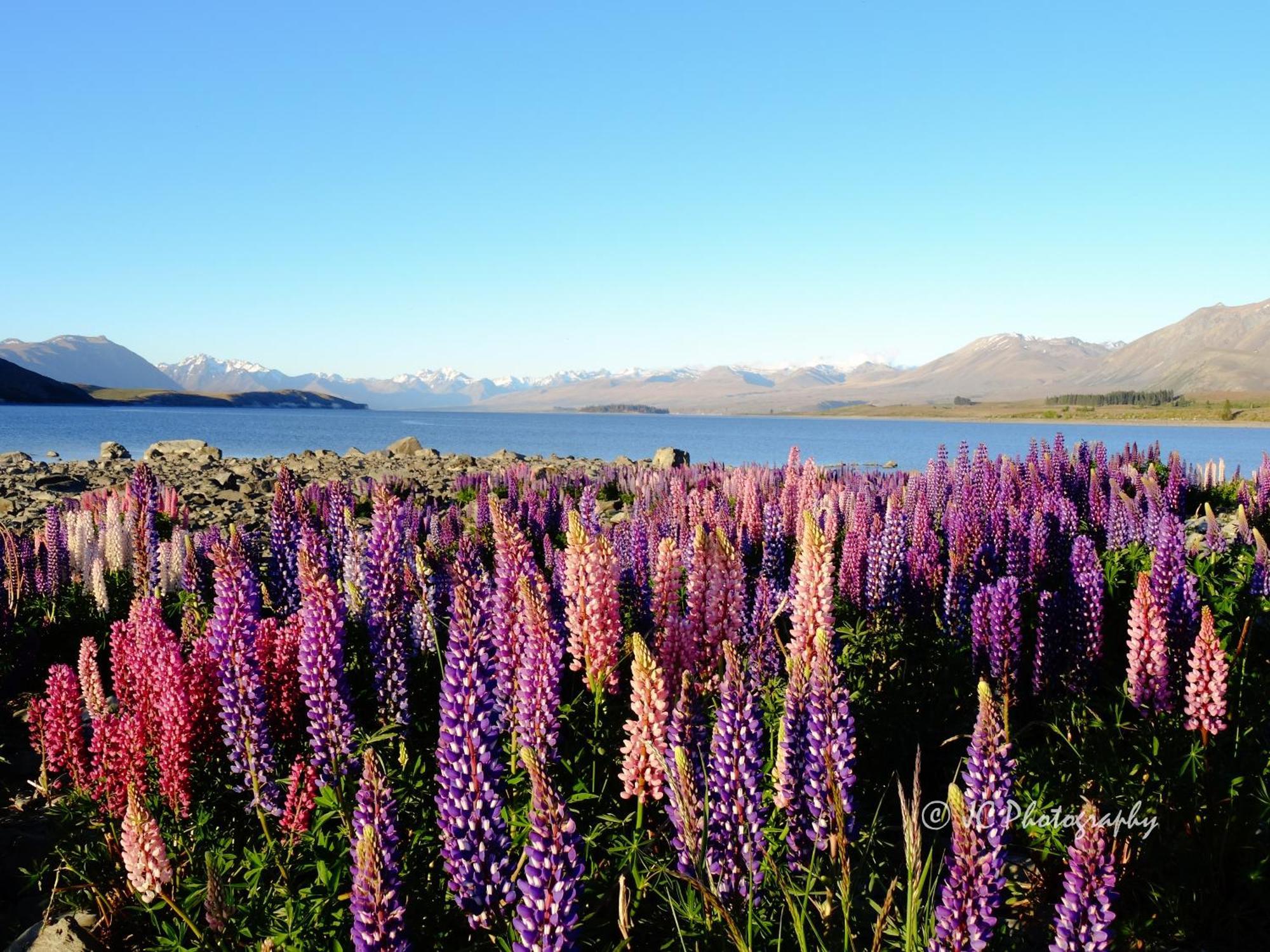 Tekapo Luxury Apartments بحيرة تيكابو المظهر الخارجي الصورة